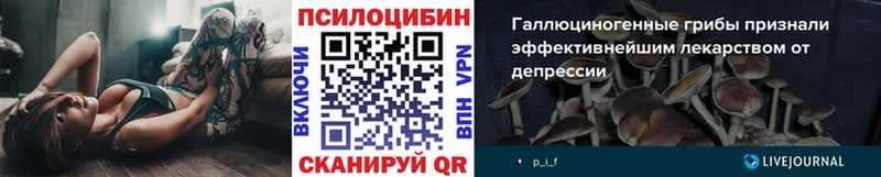 Галлюциногенные грибы GOLDEN TEACHER  МЕГА зеркало  Заинск 