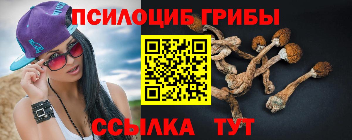 Заинск  Псилоцибиновые грибы прущие грибы  Вход с VPN 
