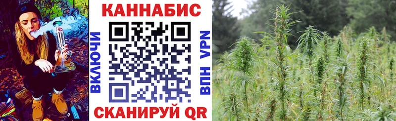 как найти закладки Заинск Каннабис White Widow