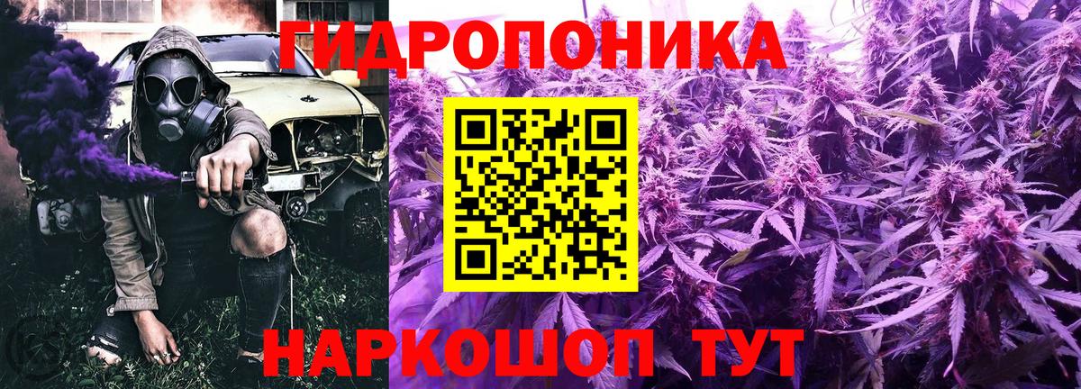 Заинск  Канабис OG Kush  Конопля Bruce Banner  Вход с VPN  Шишки марихуана VHQ  Марихуана Ganja 
